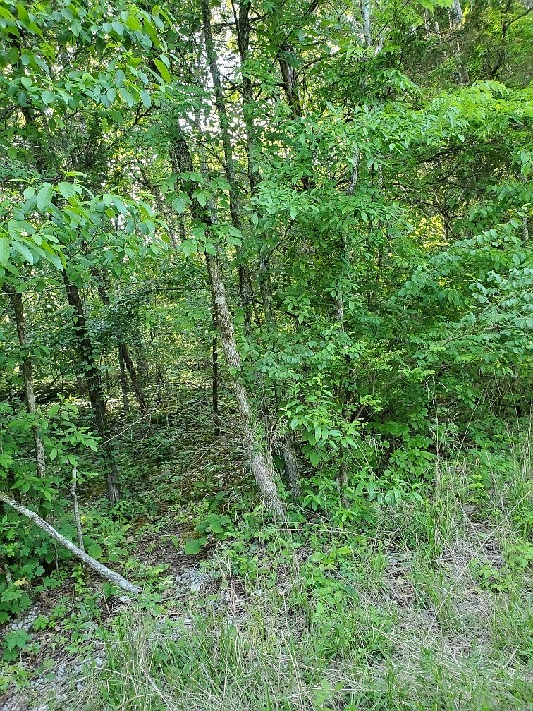 0 Highway 161, Springfield, TN 37172 | Zillow