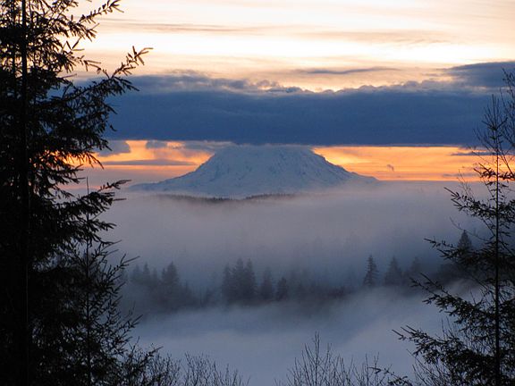 Rainier View From Home