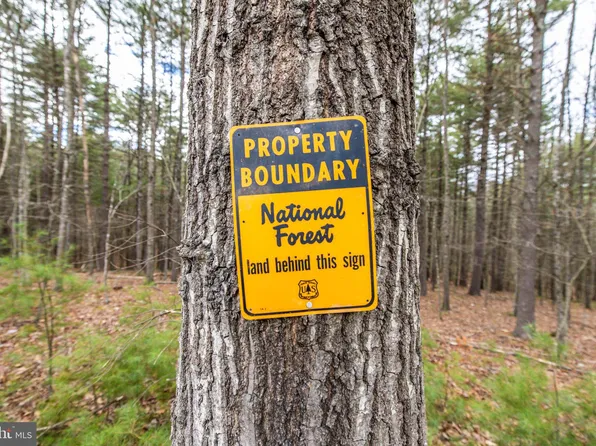 Pineland Acres Ln, Broadway, VA 22815