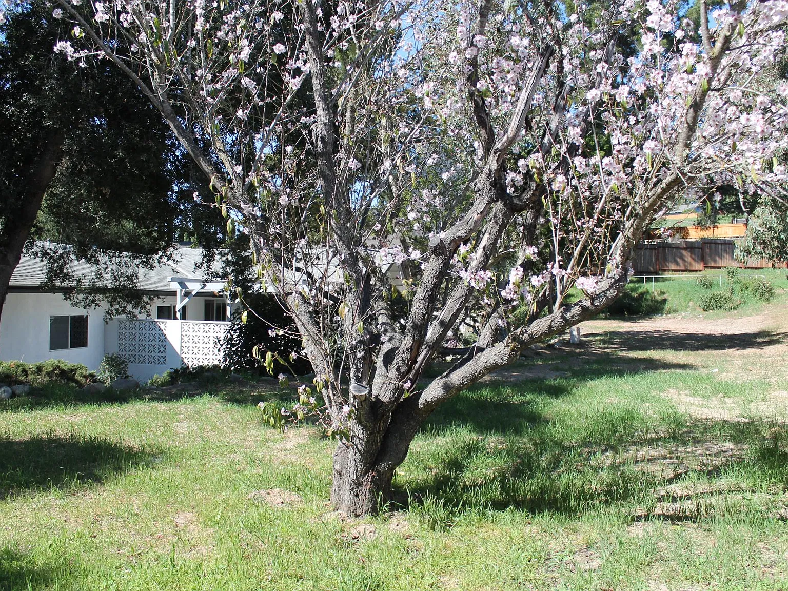 3 bed, 1721 sqft, $4,350 — Photo 4