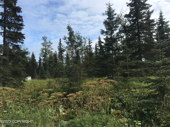 L3 Glenwood Ave, Ninilchik, AK 99639