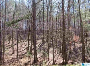 5 Rock Creek County Rd #4312, Wedowee, AL 36278
