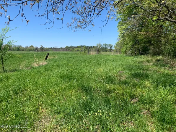 7 Baldwin Rd #7, Hernando, MS 38632