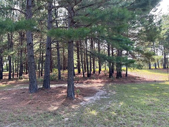 3rd image of 6059 W State Highway 294