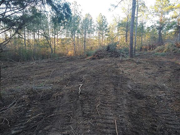 2nd image of 186 Sizemore Dr