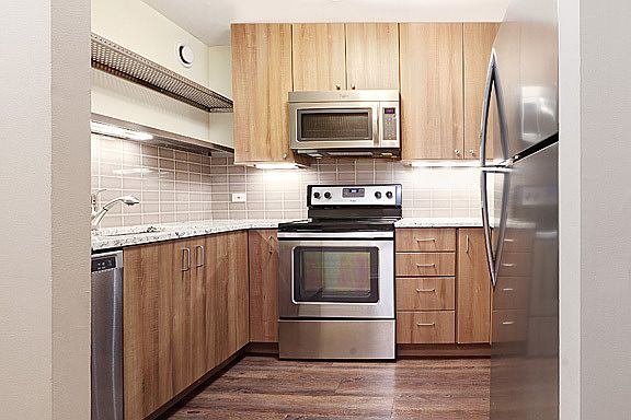 4th image of 801 S Plymouth Ct APT 1001