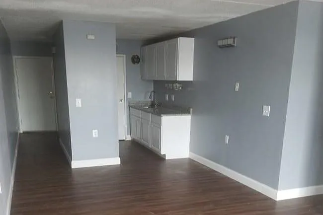 Pallister Plaisance Apartments — Photo 1