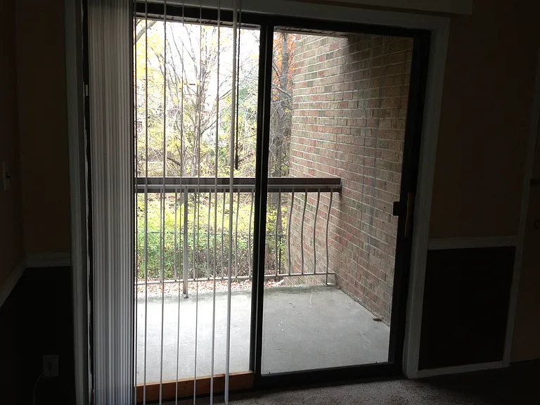 Patio/Balcony facing wooded area