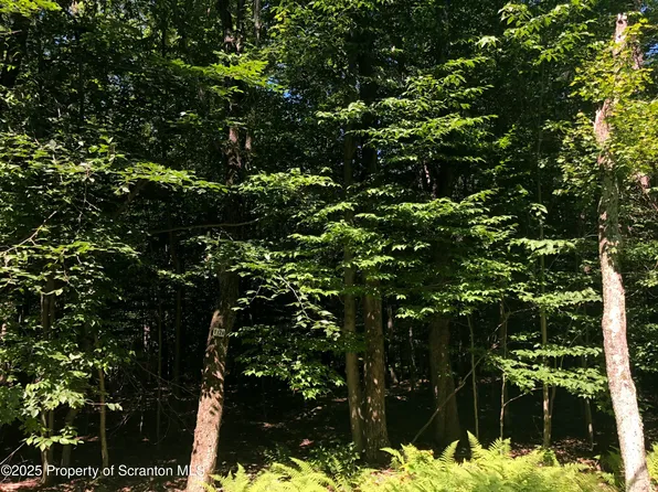 H 1128 E Creek View Dr, Gouldsboro, PA 18424