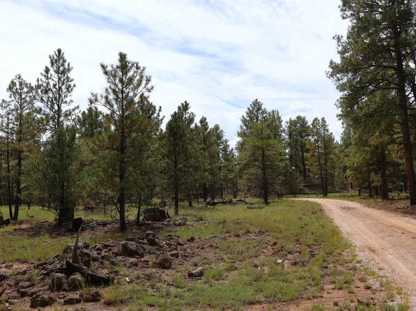 LOT 44 Rhyolite Rd Lot 44, Grants, NM 87020