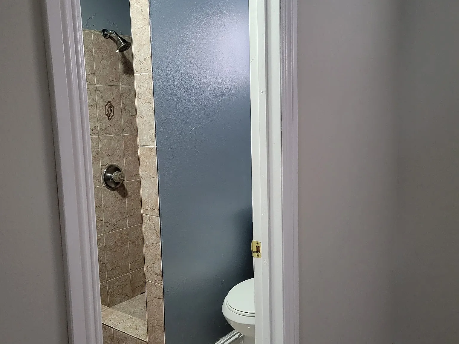 Studio, 425 sqft, $1,000 — Photo 3
