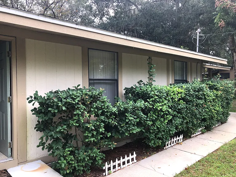 217 Acorn Dr — Photo 3