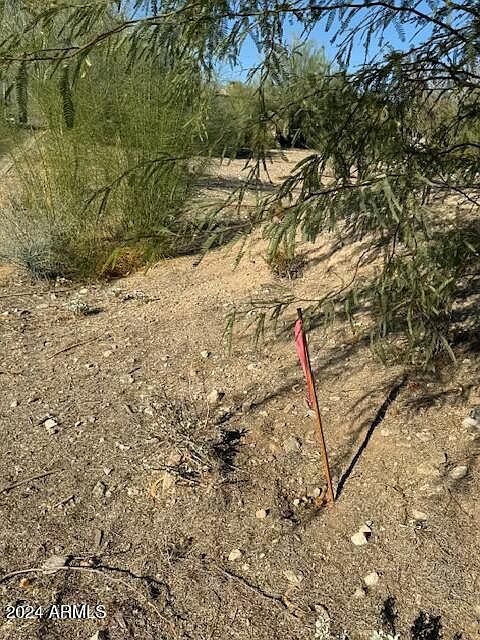1st image of 1242 E DESERT COVE Avenue #24