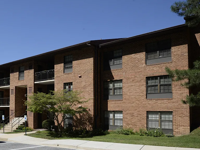 Ivy Hall Apartments — Photo 13