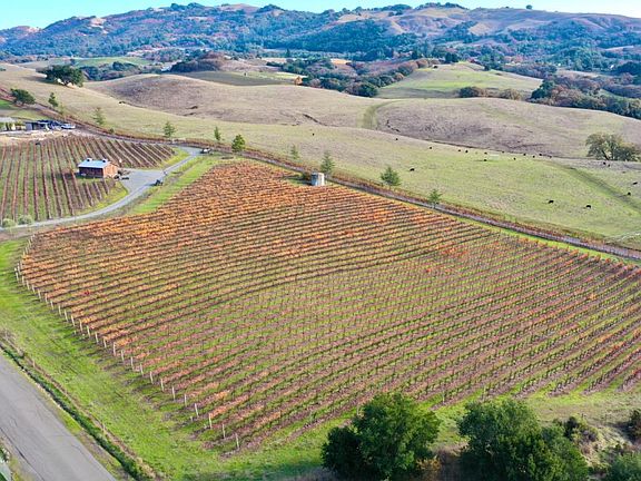 5th image of 4520 Sonoma Mountain Road
