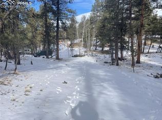 118 Ouray Rd, Florissant, CO 80816