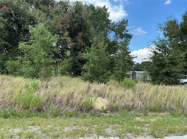 DOGWOOD TRAIL COURSE LOT 11, OCALA, FL 34472
