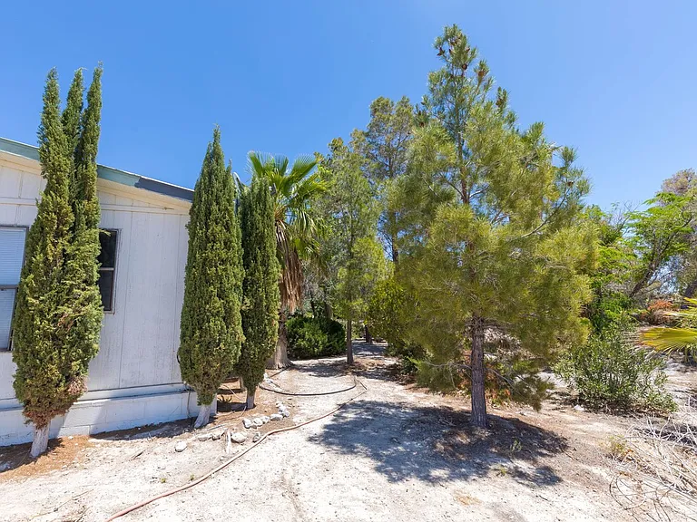 1130 E Mesquite Ave #2 — Photo 31