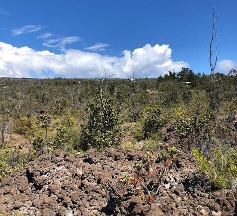3rd image of 92-2331 Ocean View Pkwy Lot 34