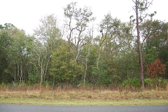 1st image of 216 NE 424th Ave
