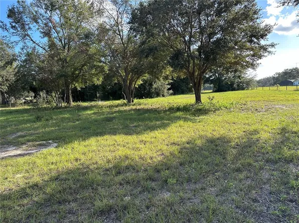 GRIFFIN AVENUE, LADY LAKE, FL 32159