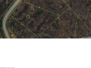 310 Caney View Dr, Harriman, TN 37748