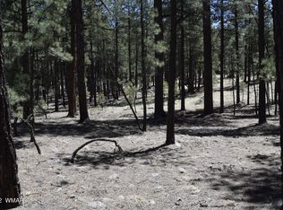 County Rd, Alpine, AZ 85920