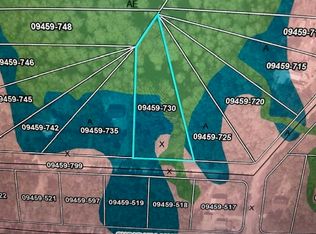 LOT 127 Oak Pond Cir NE #127, Steinhatchee, FL 32359