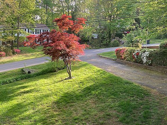 3rd image of 1003 Columbus Dr