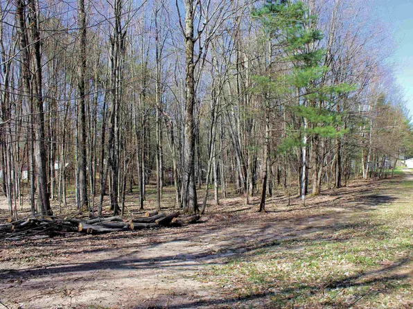 0 Chwastek Rd NE, Kalkaska, MI 49646