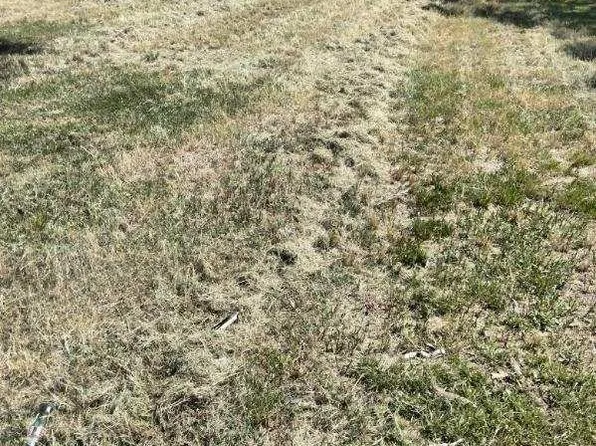 615 W 5th St, Freeport, TX 77541