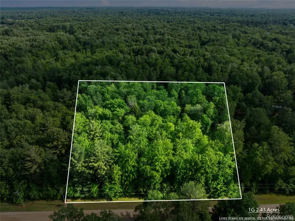 15 Birch Rd, Vassar, MI 48768