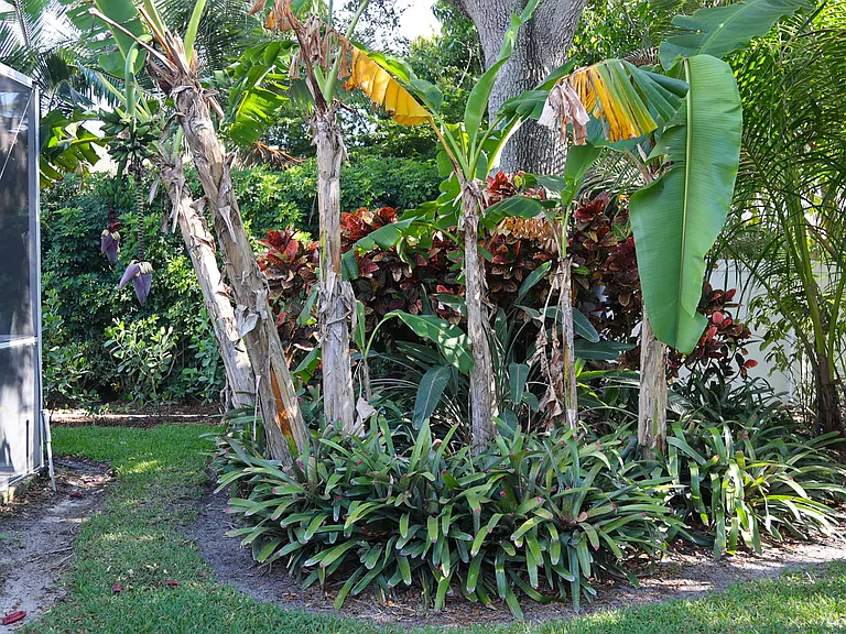 2554 Outrigger Ln — Photo 29