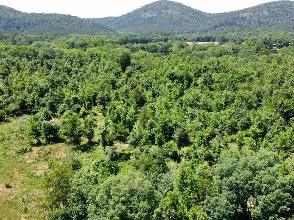 246 Burgess Rd, Bonnerdale, AR 71933