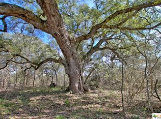 884 Hoffman Rd, Seguin, TX 78155