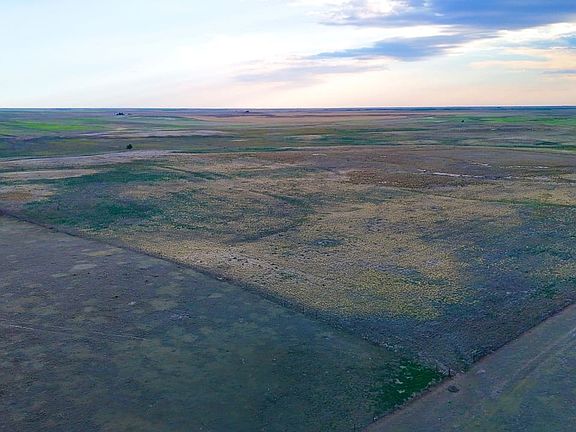 Dji Fly 20260719 191126 0973 1784586352273 Photo