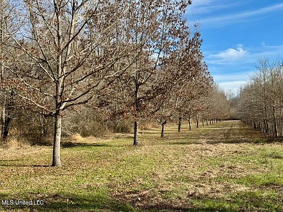 5th image of 24437 Mississippi #17