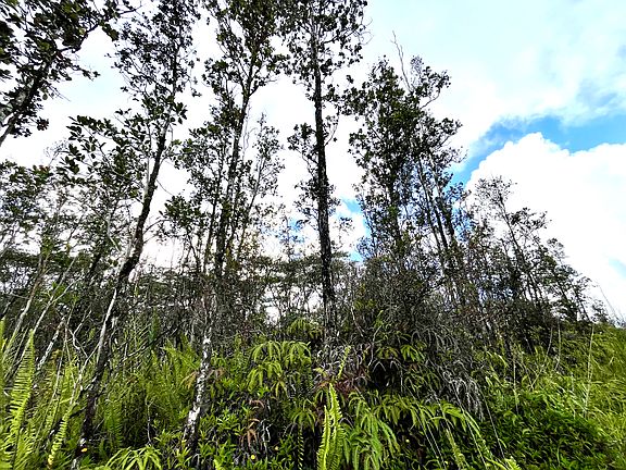 3rd image of 16-2106 Bamboo Dr Lot 48