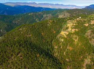 140 Ptarmigan Trl, Bailey, CO 80421