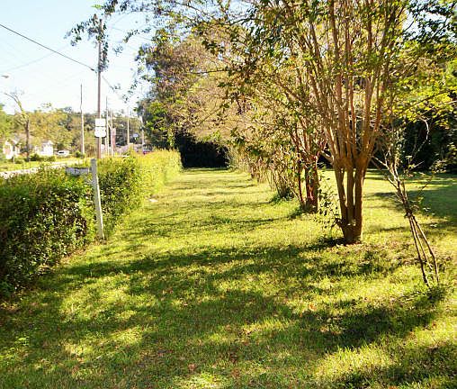 4th image of 54 Tallulah Ave