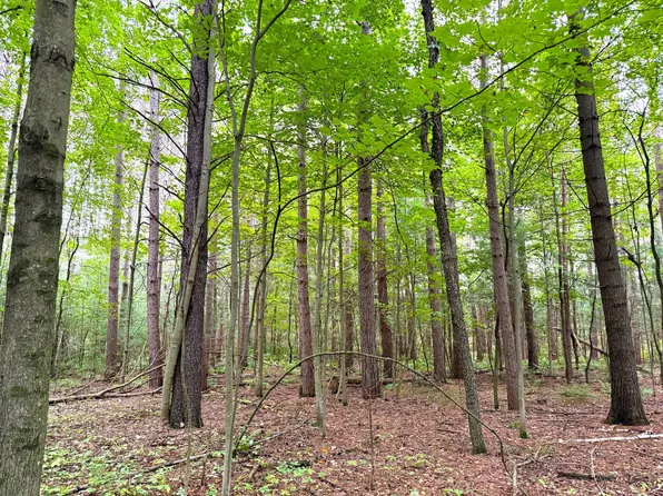 0 Woodsman Ln, Clintonville, WI 54929