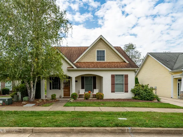 154 Devonshire Ave, Johnson City, TN 37601