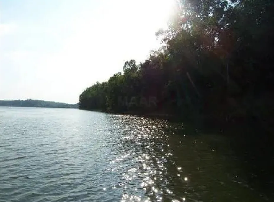 State Highway 128 Savannah Tn 38372