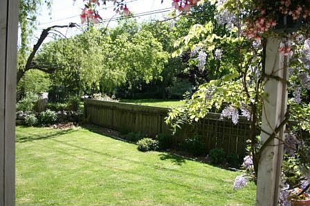 another view of back yard
