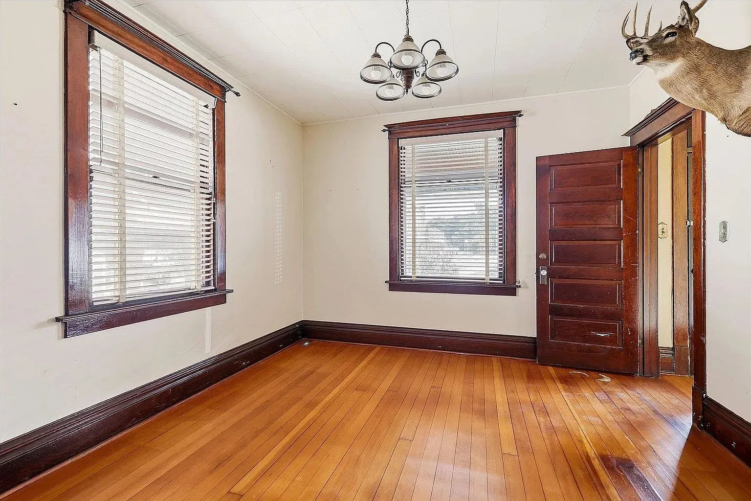 309 Jones Street - 1 — Photo 2