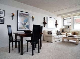 1005 Vine St, Aspen, CO 81611