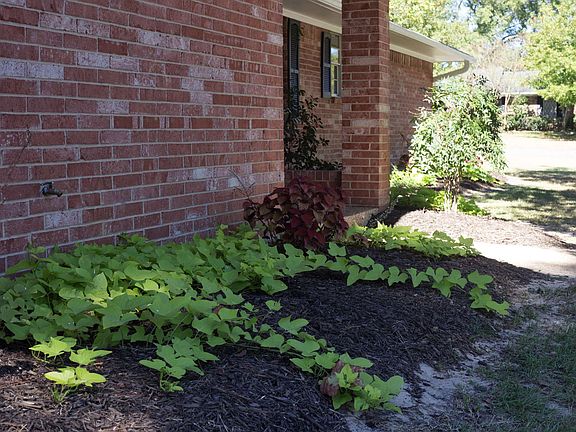4th image of 1003 Carol Dr