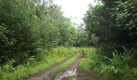 5th image of Kalapana St Lot 763