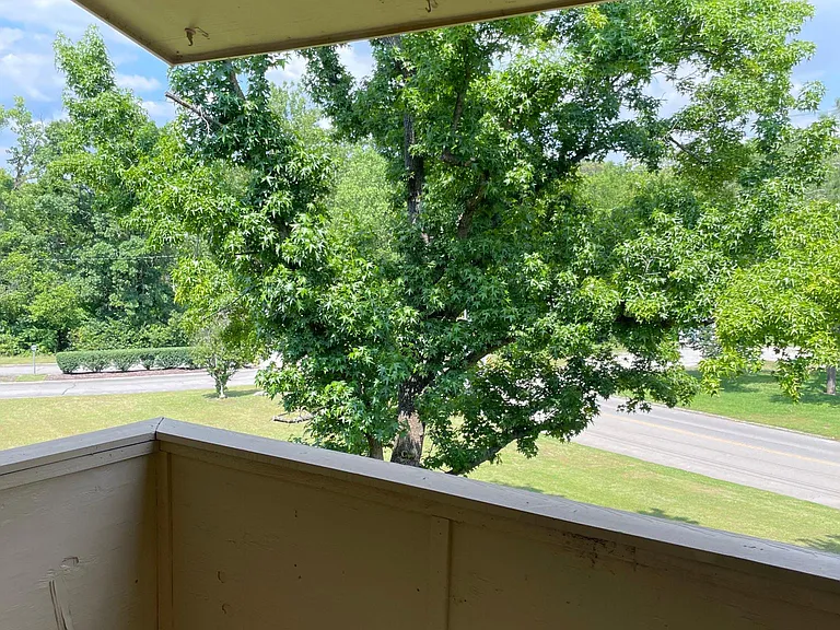 515 Basswood Ave #A15 — Photo 5