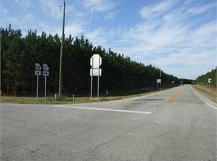 1884 Ga Highway 377, Smithville, GA 31787